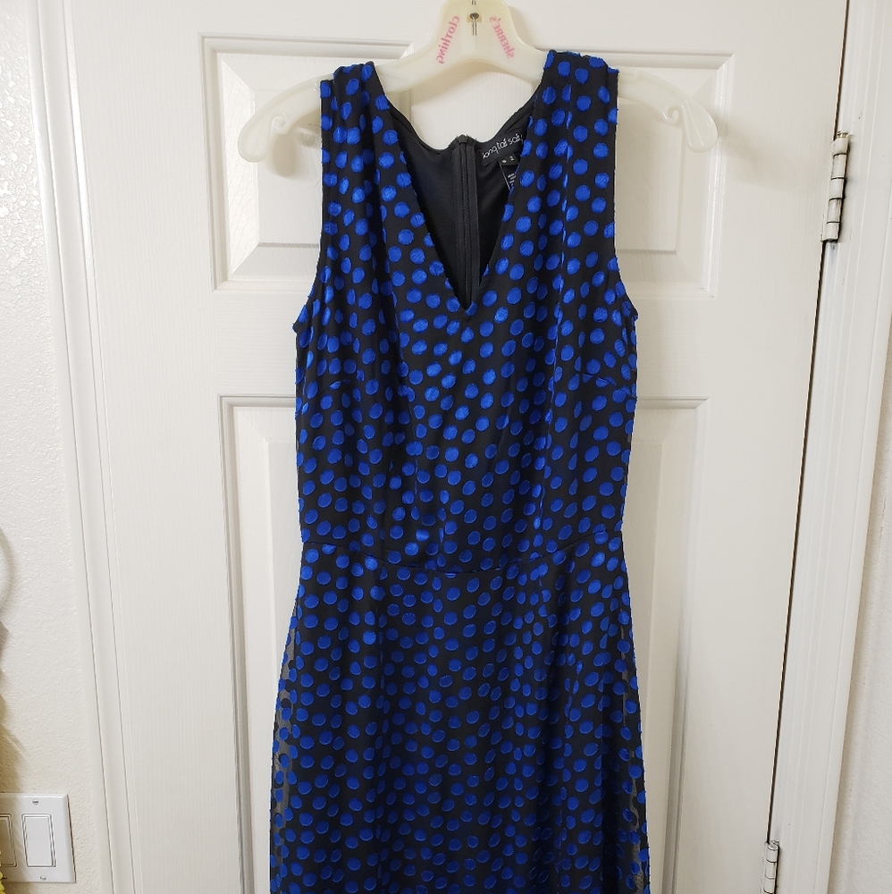 COPY - NWT Long Tall Sally flocked fit and flare dress